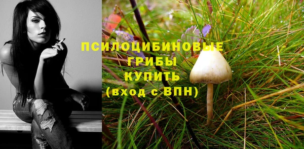MESCALINE Сосновый Бор