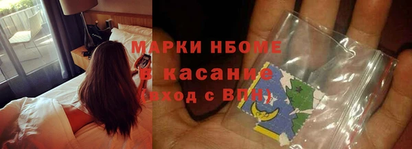 сатива Сосновка