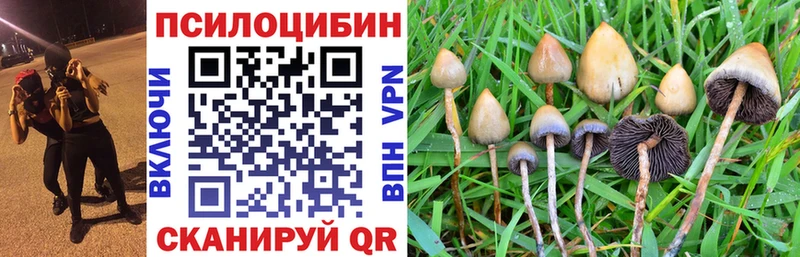 Купить где  Рыбное  Псилоцибиновые грибы GOLDEN TEACHER 
